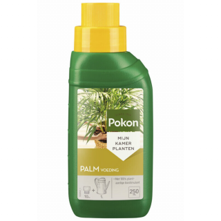 Voorkant groene fles gele dop met Pokon palm voeding 250 ml