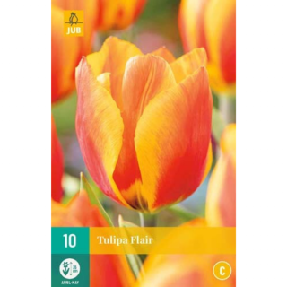 Afbeelding Tulipa Flair roodgeel 10 stuks tulpenbollen