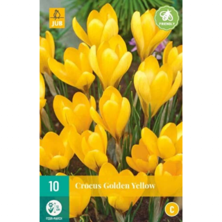 Afbeelding Crocus Golden Yellow geel 10 stuks bloembollen