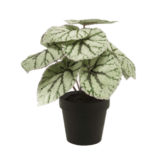 Kunstplant Begonia lichtgroen blad met donkergroene nerven in zwarte pot