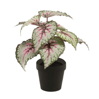 Kunstplant Begonia lichtgroen blad roze nerven donkergroene rand zwarte pot