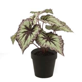 Kunstplant Begonia groen blad donkergroene nerven paars randje zwarte pot