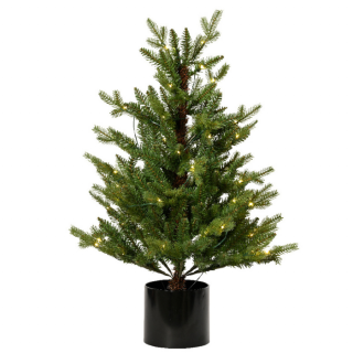 Groene kerstboom Allison Pine LED in zwarte pot