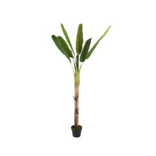 Decoris Kunst Bananenplant in pot H 180 cm Tuinland