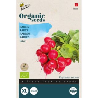 Radijs Raxe - Organic Seeds (Bio)