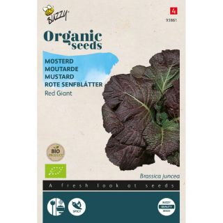 Mosterd Red Giant - Organic Seeds (Bio)
