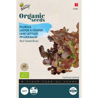Lactuca sativa Pluksla - Red Salad Bowl (Bio)