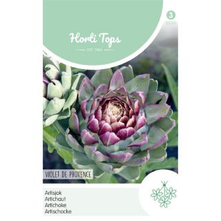 Cynara cardunculus Artisjok - Violet De Provence Zaden