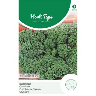 Brassica oleracea Boerenkool Westlandse Herfst