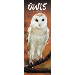 Kalender 2024 Slimline Owls Tuinland