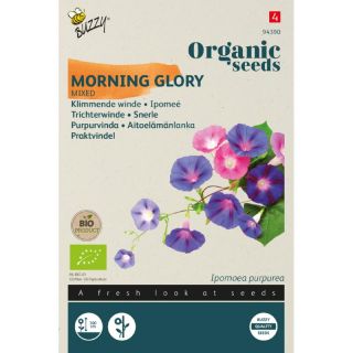 Zaden Ipomoea purpurea Klimmende Winde (Bio) Morning Glory