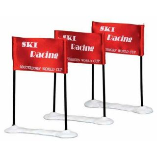 Lemax Ski Racing Flag set van 3 stuks Tuinland