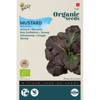 Brassica juncea Mosterd - Red Giant (Bio) Zaden