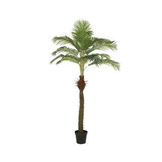Kunst palmboom