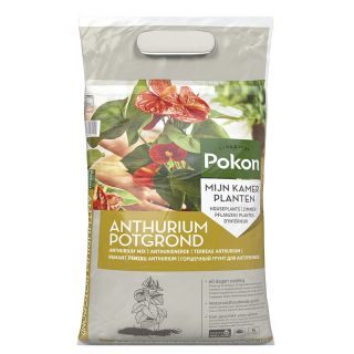 Pokon Anthurium Potgrond RHP 5 L Voorkant Tuinland