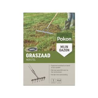 Pokon-Graszaad-Herstel-1-kg-8711969020160_Tuinland