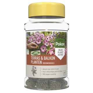 Pokon-Terras-&-Balkon-Planten-Voedingskegels-8711969004511_Tuinland
