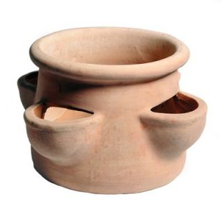 Aardbeienpot - Whitewash Strawberry Pot - 4 Cups