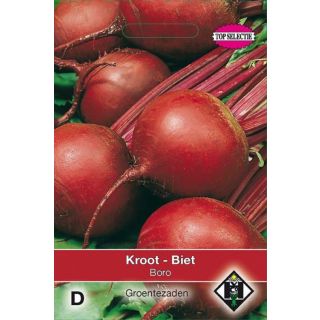 Beta vilgaris Biet - Kroot - Boro Rode bieten Groente zaden Van Hemert en Co