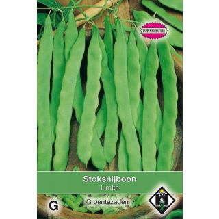 Phaseolus vulgaris Stoksnijboom Limka Snijbonen Zaden Van Hemert en co