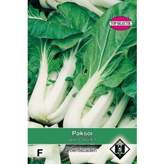 Brassica rapa subsp. chinensis Paksoi - Win Choi F1 Zaden Van Hemert en Co