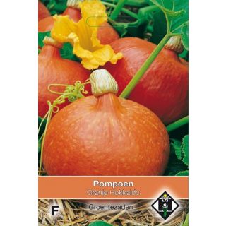 Cucurbita maxima Pompoen - Oranje Hokkaido Zaden Van Hemert en Co