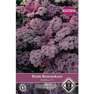 Brassica oleracea sabellica Rode Boerenkool Redbor F1 Zaden Van Hemert en Co