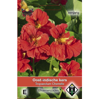 Oost-Indische Kers Tropaeolum majus 'Cherrelle' Eetbare bloemen Van Hemert en Co Zaden