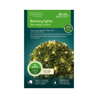 Verlichting LED Durawise Net  60 Led Lights Doos Tuinland
