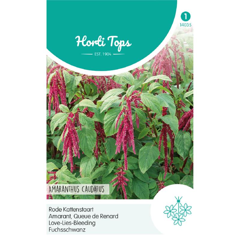 Zaden Amaranthus caudatus Rode Kattenstaart Horti Tops