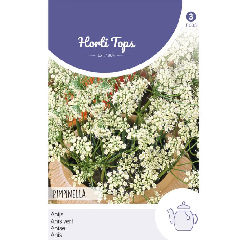 Pimpinella anisum Anijs Horti Tops Zaden