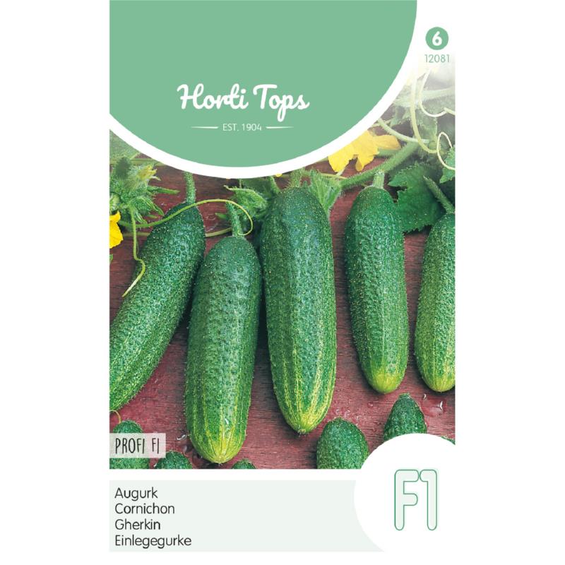 Cucumis sativus Augurken - Profi F1 Zaden