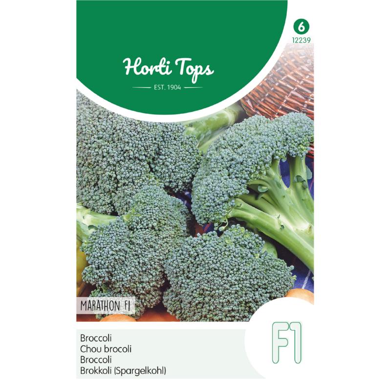 Brassica oleracea Broccoli - Marathon F1 Zaden