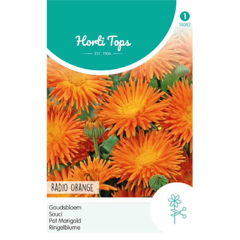 Zaden Calendula officinalis Goudsbloem - Radio Orange