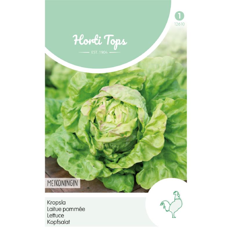 Lactuca sativa Horti Tops Kropsla - Meikoningin Zaden