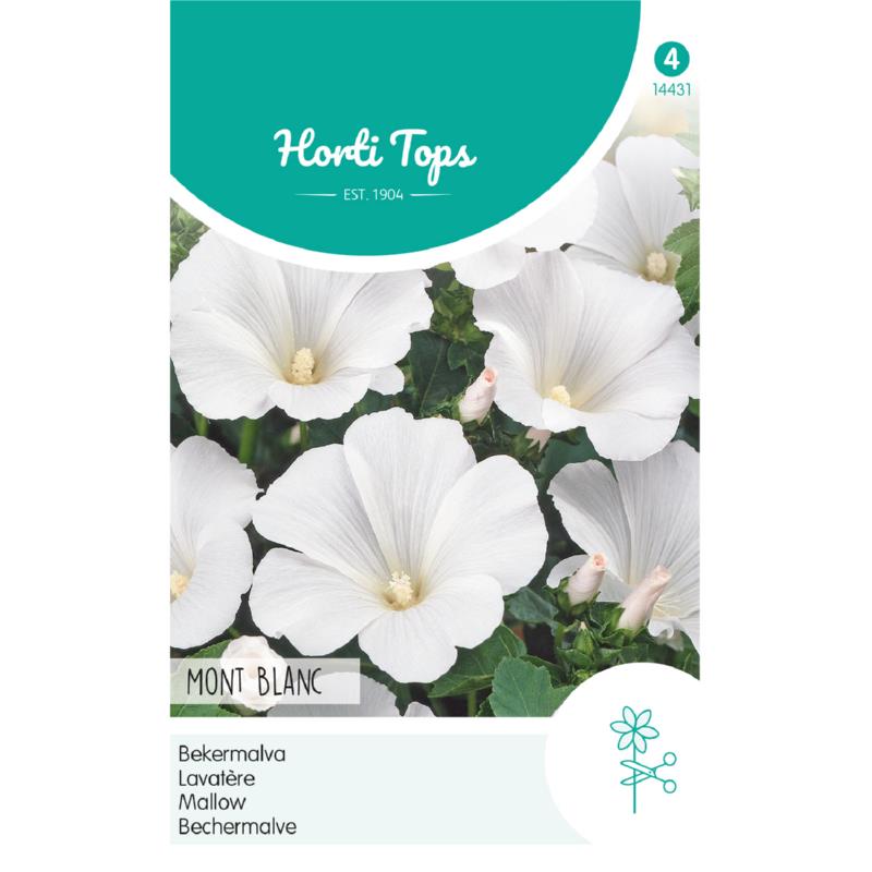 Lavatera trimestris Bekermalva - Mont Blanc Zaden Horti Tops