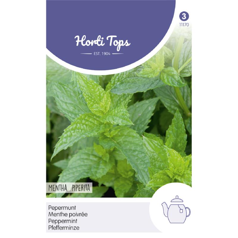 Mentha x piperita Pepermunt Zaden