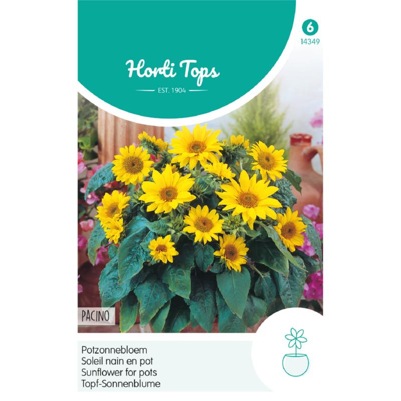 Zaden Helianthus annuus Pot Zonnebloem - Pacino Horti Tops