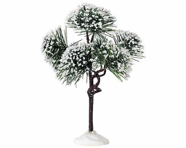 Lemax Mountain Pine - Medium - Tuinland