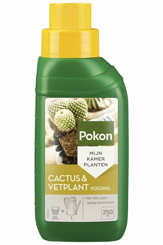 Cactus & Vetplant Voeding