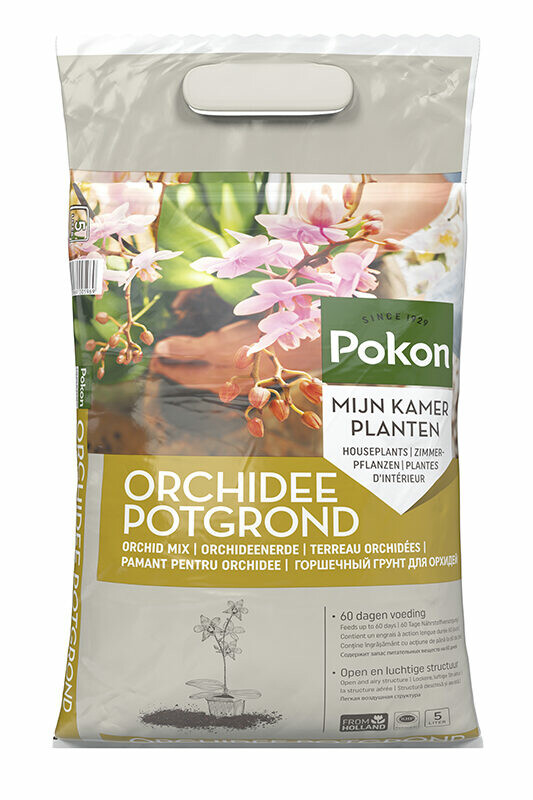Orchidee Potgrond RHP