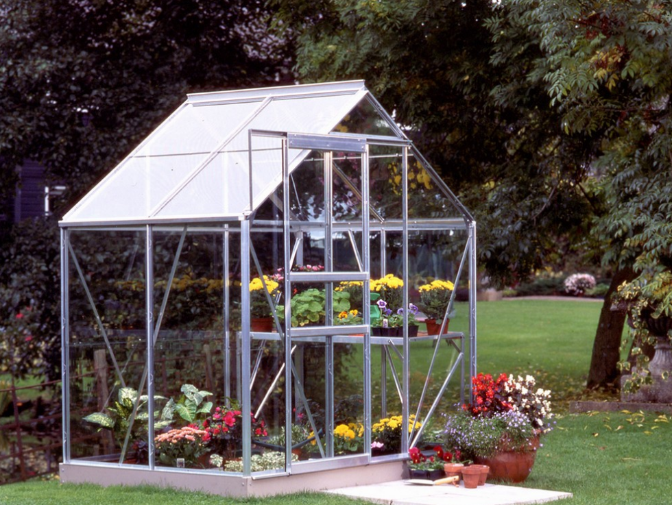 Halls Greenhouses Tuinkas Popular 46 - Blank