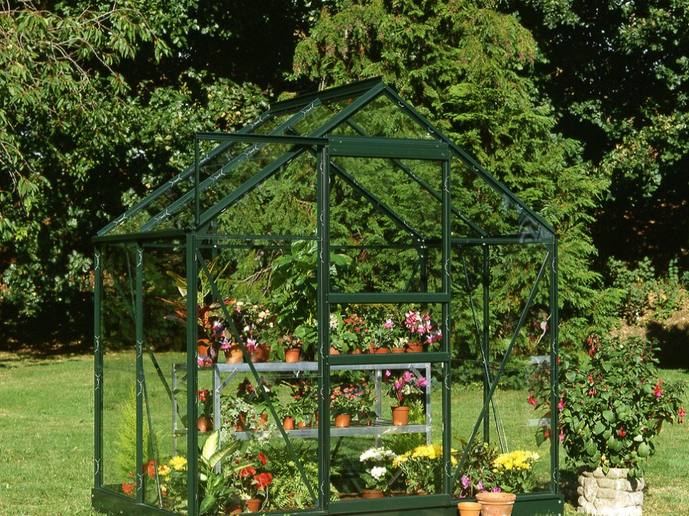 Halls Greenhouses Tuinkas Popular 46 - Groen Gecoat