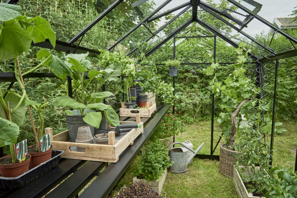 Halls Greenhouses Tafel Birdlip 84 - Geïntegreerd Zwart Gecoat