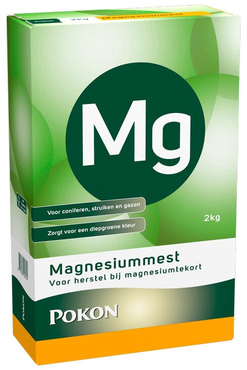 Magnesiummest