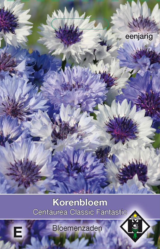 Centaurea Cyanuas 'Classic Fantastic' Korenbloem eenjarig eetbaar bloemenzaden zaden