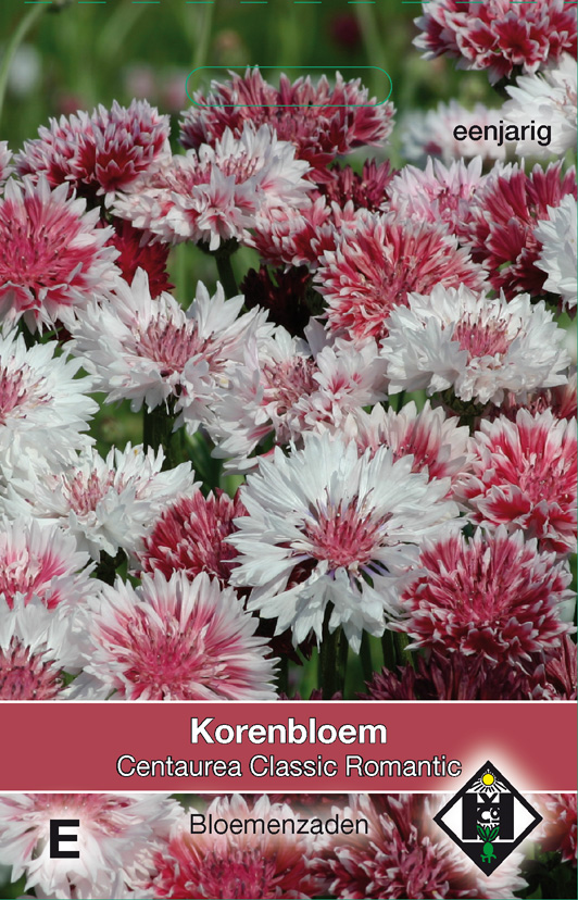 Korenbloem - Classic Romantic