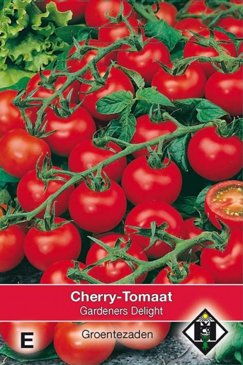 Cherry-Tomaat - Gardeners Delight