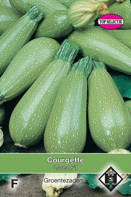 Cucurbita pepo Courgette - Lorea F1 Zaden Van Hemert en Co