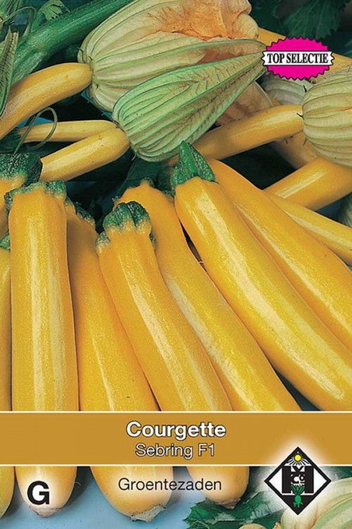 Courgette - Yellowstar F1